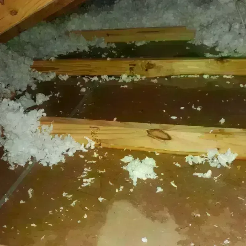 Attic Water Damage in Newton, MA